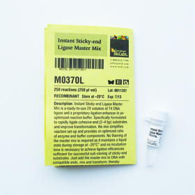 Instant Sticky end Ligase Master Mix