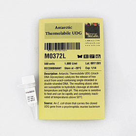 Antarctic Thermolabile UDG