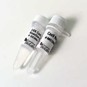 Cas9 Nuclease S pyogenes