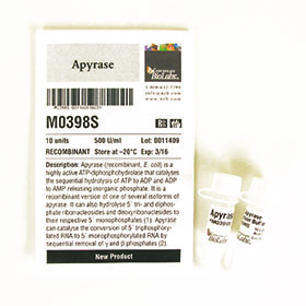 Apyrase