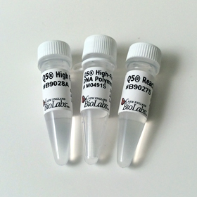 Q5 High Fidelity DNA Polymerase