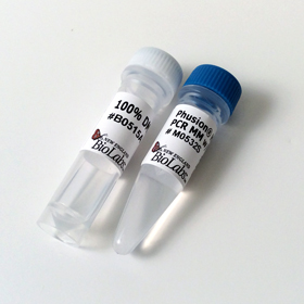 Phusion High Fidelity PCR Master Mix with GC Buffer