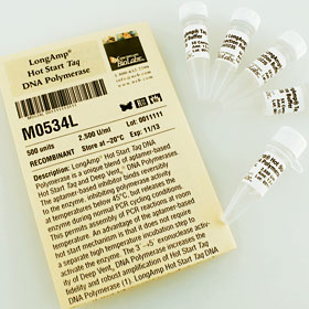 LongAmp Hot Start Taq DNA Polymerase