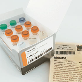 Phusion Hot Start Flex DNA Polymerase