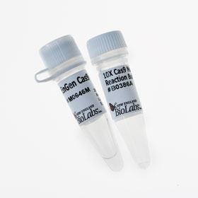 EnGen Spy Cas9 NLS