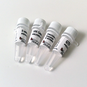 Vaccinia Capping System