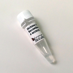 Histone H2A Human Recombinant