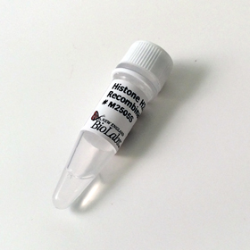 Histone H2B Human Recombinant