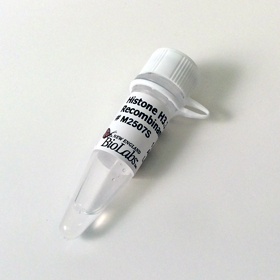 Histone H3 3 Human Recombinant