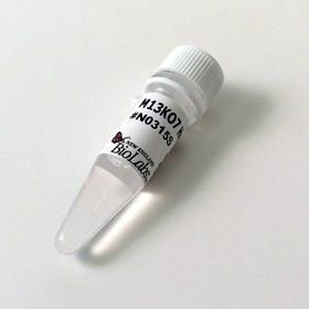 M13K07 Helper Phage