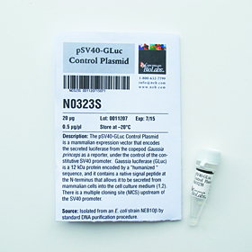 pSV40 GLuc Control Plasmid