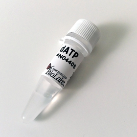 dATP Solution