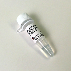 Deoxynucleotide Solution Mix