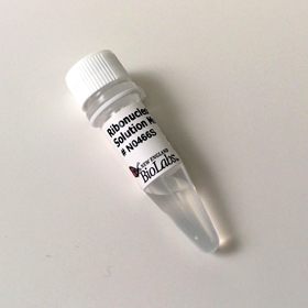 Ribonucleotide Solution Mix