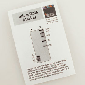 microRNA Marker