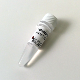 Lambda DNA