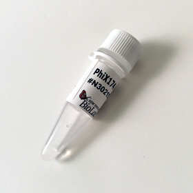 PhiX174 RF I DNA