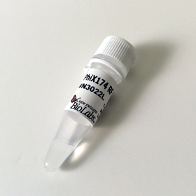 PhiX174 RF II DNA