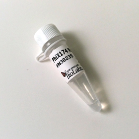 PhiX174 Virion DNA