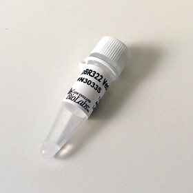 pBR322 Vector