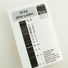 50 bp DNA Ladder