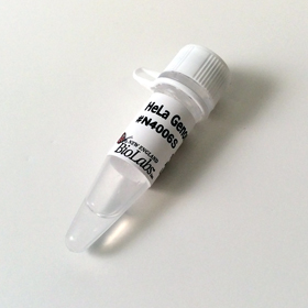Hela Genomic DNA