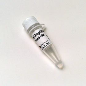 M13mp18 Single stranded DNA