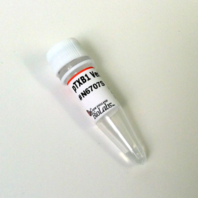 pTXB1 Vector DNA