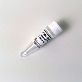pCMV GLuc Control Plasmid