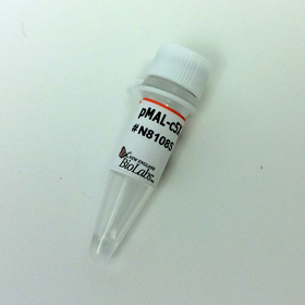 pMAL c5X Vector