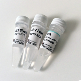 alpha 1 2 Fucosidase