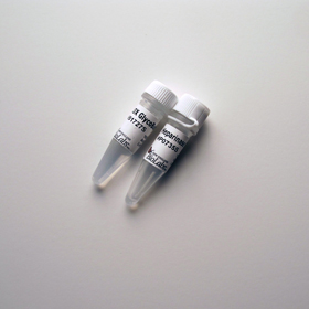 Bacteroides Heparinase I