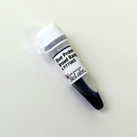 Blue Prestained Protein Standard Broad Range 11 190 kDa
