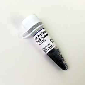 Color Prestained Protein Standard Broad Range 11 245 kDa