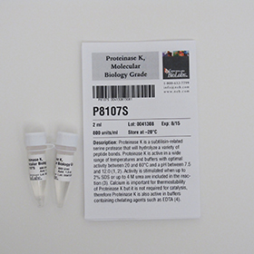 Proteinase K Molecular Biology Grade