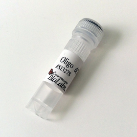 Oligo d T 23VN