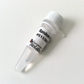 Random Primer Mix 6 nmol