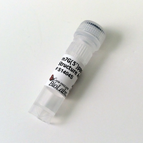 m7G 5 ppp 5 G RNA Cap Structure Analog