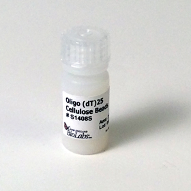 Oligo dT 25 Cellulose