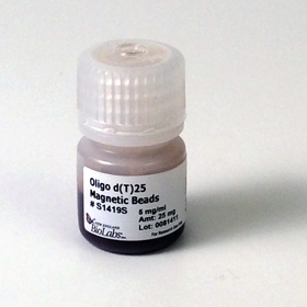 Oligo dT25 Magnetic Beads