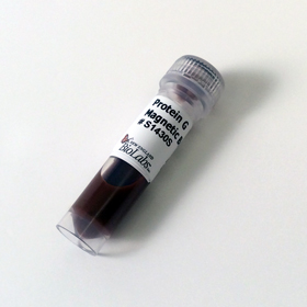 Protein G Magnetic Beads | New England Biolabs | Bioz