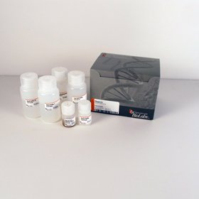 Magnetic mRNA Isolation Kit