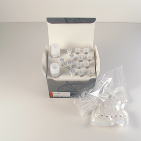 polyA Spin mRNA Isolation Kit