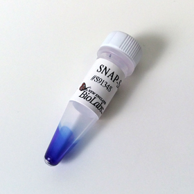 SNAP Surface 594