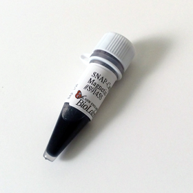 SNAP Capture Magnetic Beads