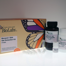 Monarch DNA Gel Extraction Kit